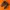 nike air max tn photo 1
