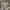 Japanese brand Vintage Y2K Casual pants Pria white black gray photo 3