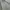 Balmain Paris long Sleeve Shirt Men's photo 8
