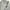 Balmain Paris long Sleeve Shirt Men's photo 7
