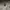 Zadig & Voltaire Streetwear Gorpcore Parka Pria green tan gray photo 8