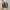 Asics Gel Quantum 360 photo 5