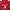 Y2K T-shirt Pria Red