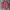 Eddie Bouwer Flannel Shirt 2 Pocket photo 1