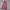 PINK VICTORIA'S SECRET TANKTOP photo 6