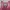 PINK VICTORIA'S SECRET TANKTOP photo 7