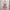 PINK VICTORIA'S SECRET TANKTOP photo 2
