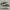vans authentic camo photo 3
