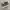 vans authentic camo photo 1