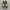 vans authentic camo photo 2