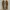 vans authentic camo photo 6