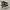 vans mte photo 1