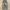 Blue Girls Y2k Baggy Long pants jeans photo 3