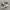vans era photo 1