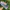 HOKA ONE ONE WAFATE SPEED 4 photo 1