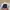 Vintage Streetwear Hat Pria White Blue photo 4
