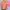 Basic Crop Top Pink dan Mint size M&Lfrom Colorbox photo 1