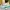 Running Shoes NIKE AIR ZOOM ALPHAFLY NEXT% 2 