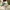 Running Shoes NIKE AIR ZOOM ALPHAFLY NEXT% 2  photo 5