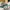 Running Shoes NIKE AIR ZOOM ALPHAFLY NEXT% 2 