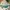 Running Shoes NIKE AIR ZOOM ALPHAFLY NEXT% 2  photo 4