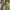 Jaket parasut montpic dua warna photo 3