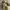 Jaket parasut montpic dua warna photo 4