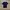 CARHARTT Pokcet T-shirt