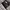 Short Pants Kappa Tepped
