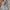 fairy whimsical beige vintage y2k flared tied skirt photo 2