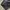 Fila Cargo Nylon Short Pants photo 6