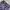 Fila Cargo Nylon Short Pants photo 2