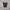 Fila Cargo Nylon Short Pants photo 5