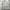 Prjct thin outer jacket photo 5