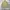 Mixxo m51 short jacket photo 3