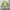 Mixxo m51 short jacket photo 4