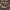 Miu Miu Luxury Midi dress Wanita multicolor photo 3