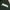Dark Green Shirt Men photo 3