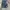BLUEMOON MINI OVERALL WOMEN JEANS photo 5