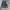 BLUEMOON MINI OVERALL WOMEN JEANS photo 4