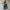 BLUEMOON MINI OVERALL WOMEN JEANS photo 1