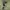 Kemeja vintage military US ARMY OG 107 Jhon Lennon inspired  photo 5