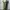 Zara Streetwear Y2K Pria green photo 3