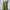 Zara Streetwear Y2K Pria green photo 2