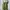 Zara Streetwear Y2K Pria Green