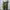 Streetwear Y2K Pria green photo 3