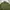 Unknown Mac Japan Bdu Military Utility photo 2