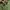 Unknown Mac Japan Bdu Military Utility photo 5