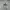 Adidas Sweater Gray/Abu photo 1