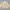 Sweater Cream Half Button By Soie photo 1